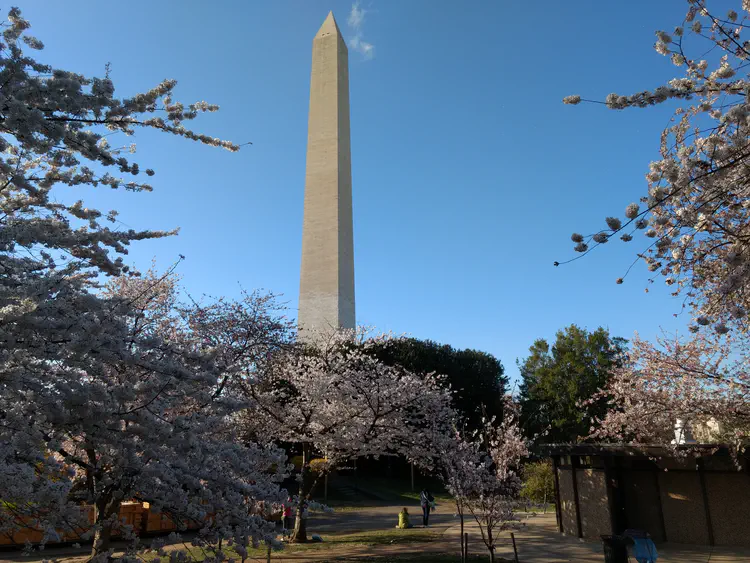 2018-04-04_Cherry_Blossom_Festival_Washington_DC.jpg